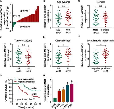 Exosomal Circ-MEMO1 Promotes the Progression and Aerobic Glycolysis of Non-small Cell Lung Cancer Through Targeting MiR-101-3p/KRAS Axis